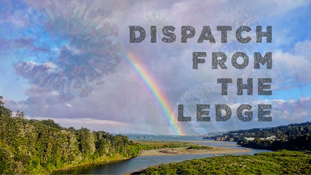 Dispatch from the Ledge ~ Life in the Time of Covid