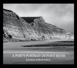 a poets portrait of point reyes